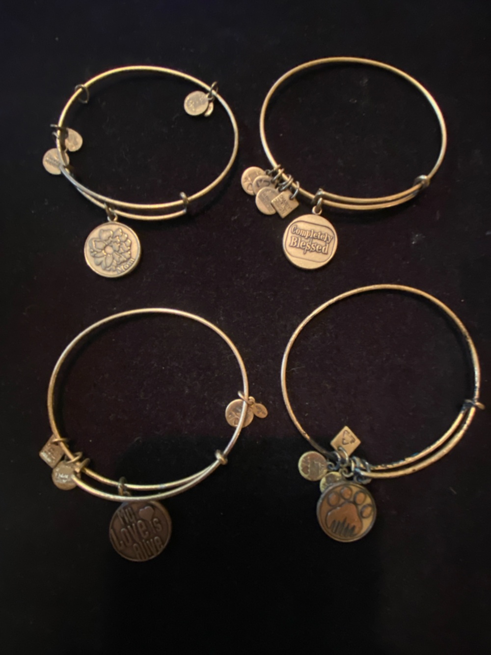 Alex and Ani  Gold Charm Bangle Bracelet Set - Gold tone